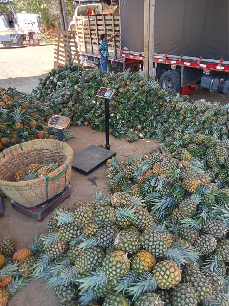 Piñas y básculas en la zona de preparación de pedidos